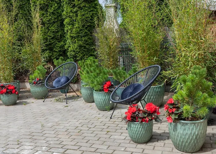 4 Pory Roku * シフィノウイシチェ